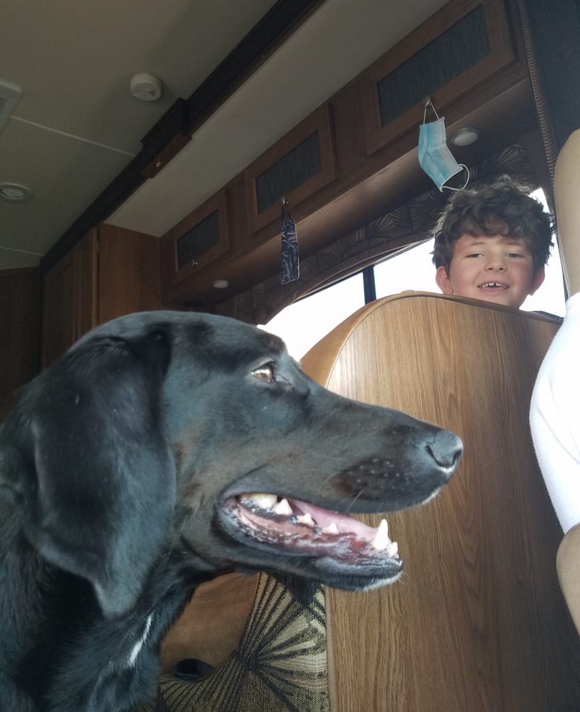 RVing with dogs