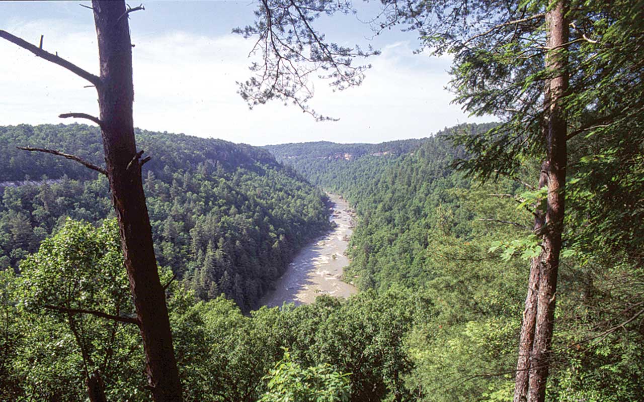 Honey Creek Overlook at Big South Fork
