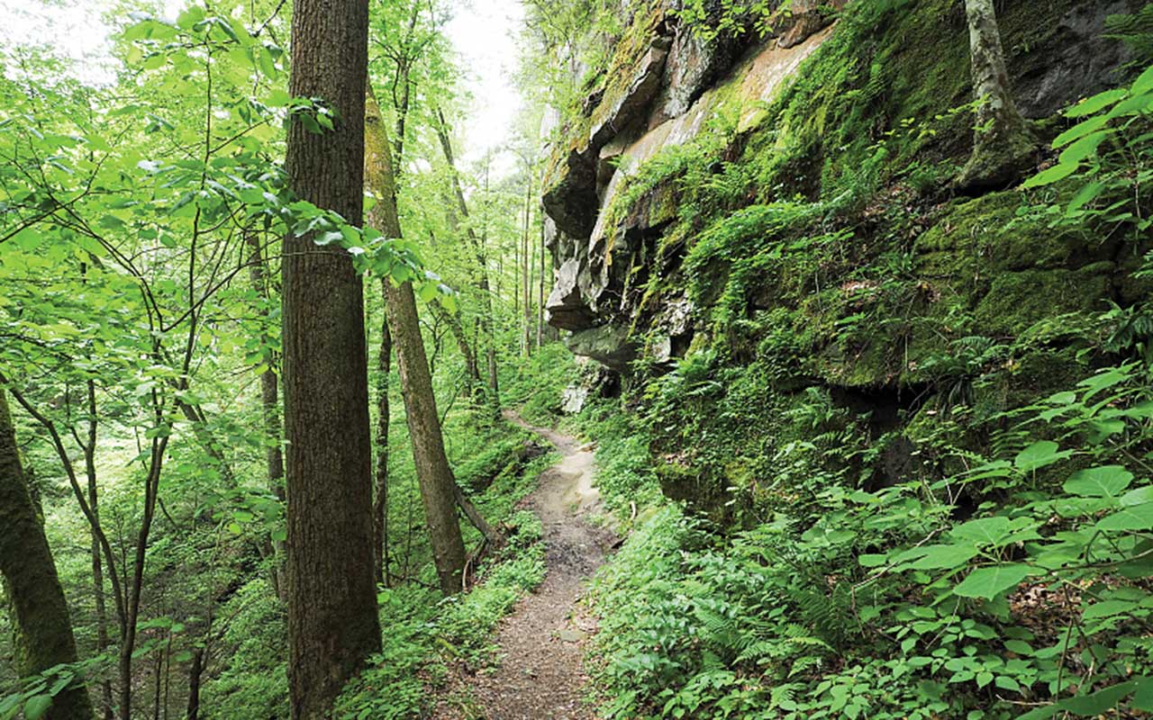 Yahoo Falls in Big South Fork