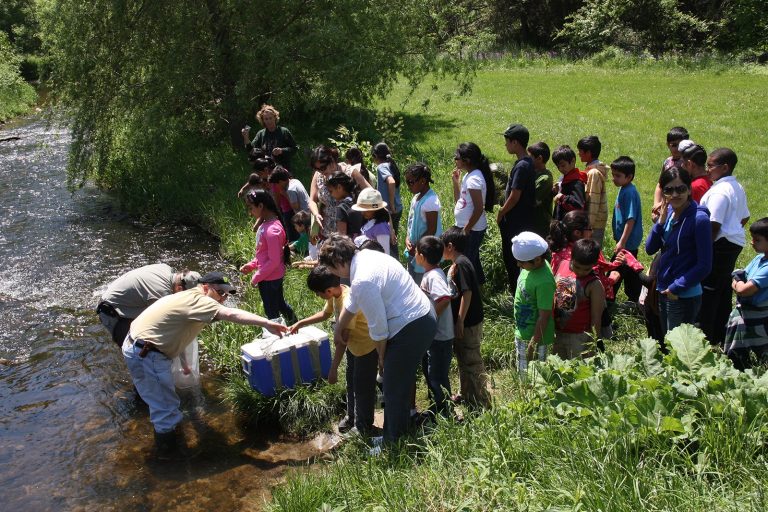 Spreading Environmental Awareness with the OWF