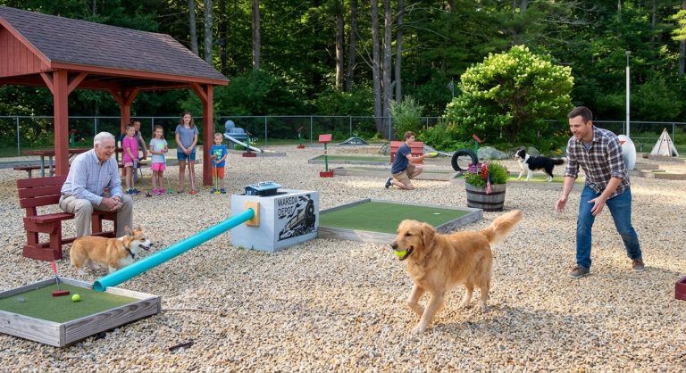 Traveling Made Easy at the Best Pet Friendly RV Parks