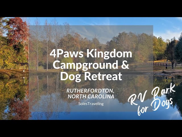 Best Dog-Friendly RV Camps, Sites & Locations Guide